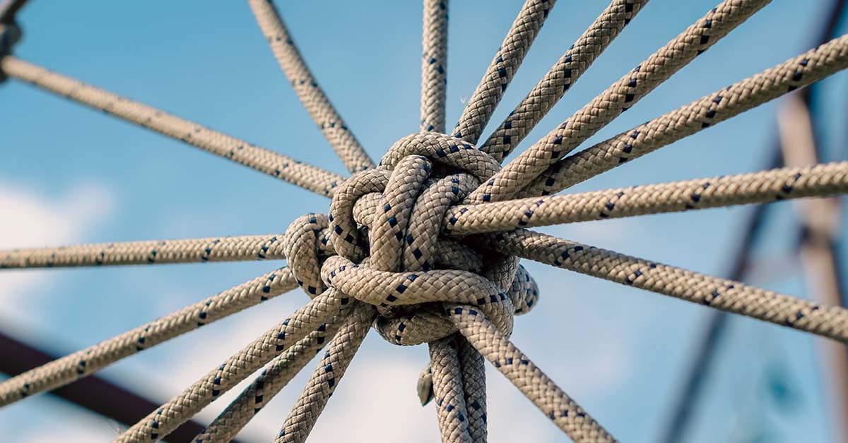 image of a series of ropes ties together