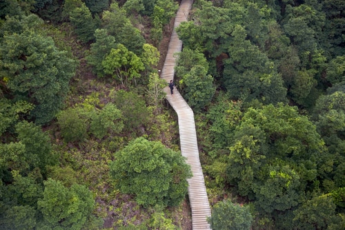 Bridge