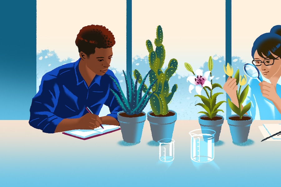 People considering how much water a plant may need.