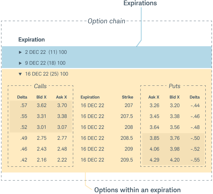 An option chain with put and call options and their expiration dates.
