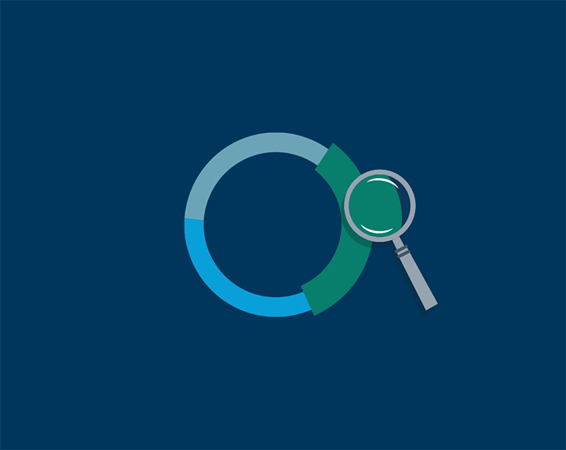 magnifying glass icon