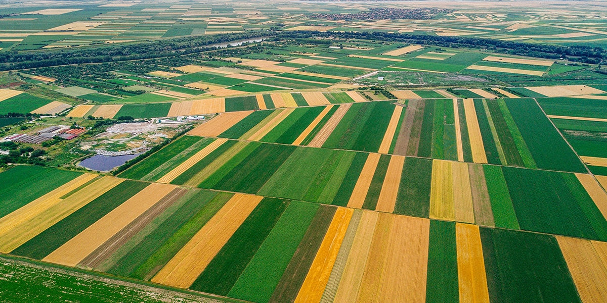 farm fields