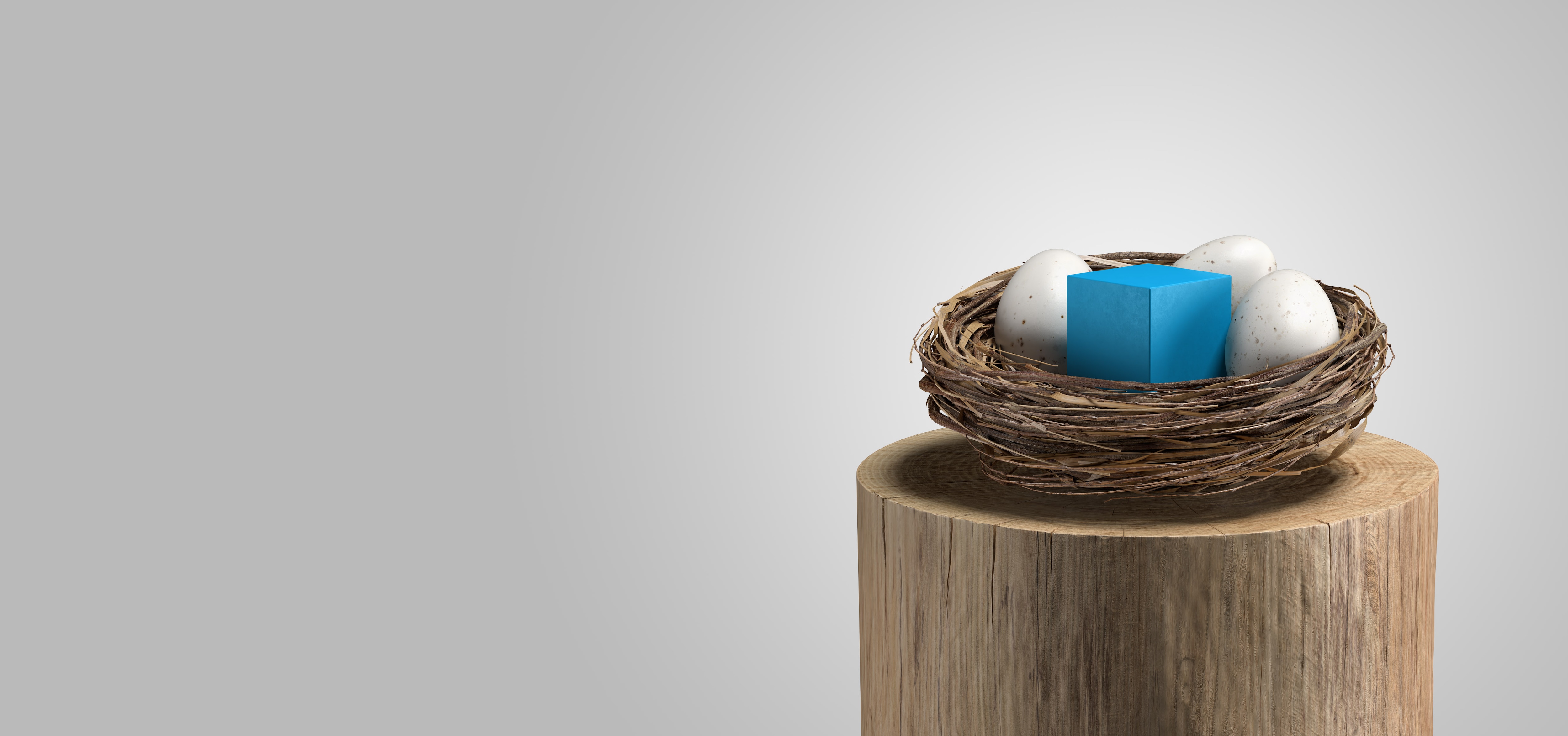 Nest (retirement)