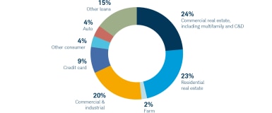 pie chart showing proportion of loan categories