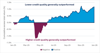 Exhibit 2 - Lower credit quality generally outperformed