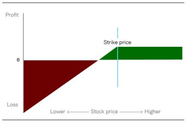 Chart depicts that while the profit is limited to the premium received at the time the option is sold, the downside risk increases the closer the stock gets to zero. 