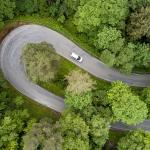 arial view of a winding forest road