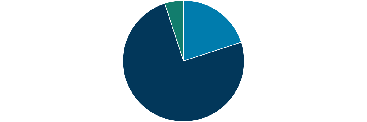 Pie chart - 20/75/5