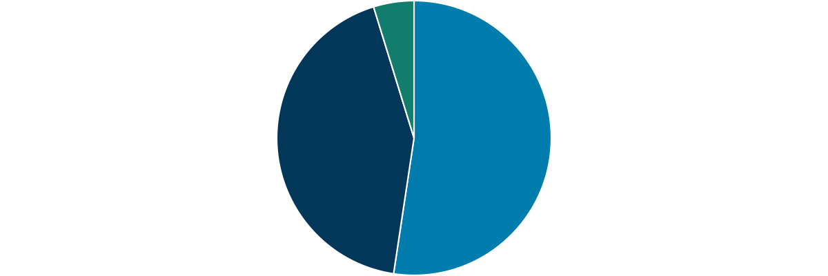 Pie chart - 55/45/5